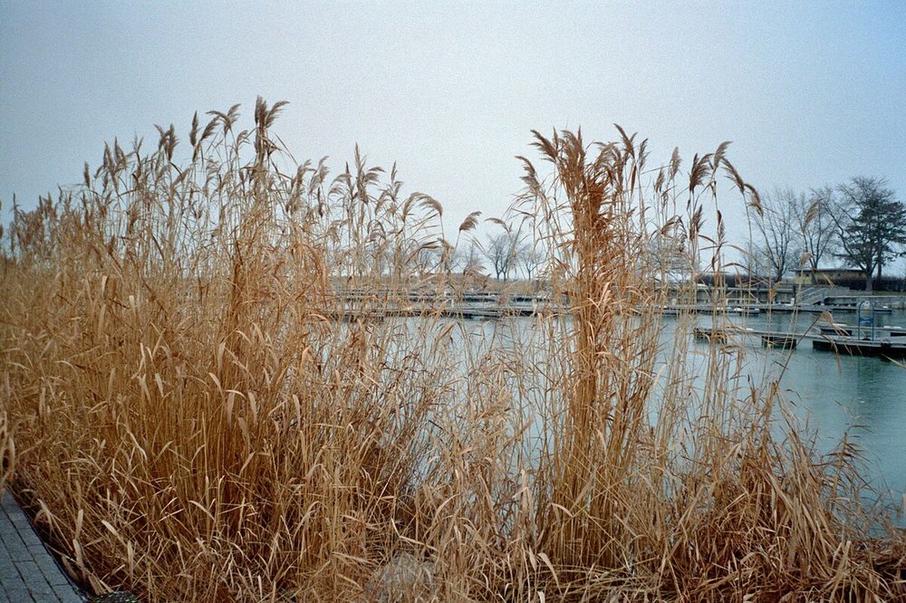 Balatonszemes kikötő
